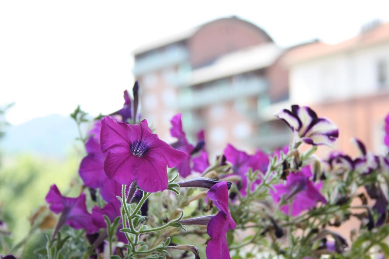 A Casa Romar Bed & Breakfast Turin Exterior photo